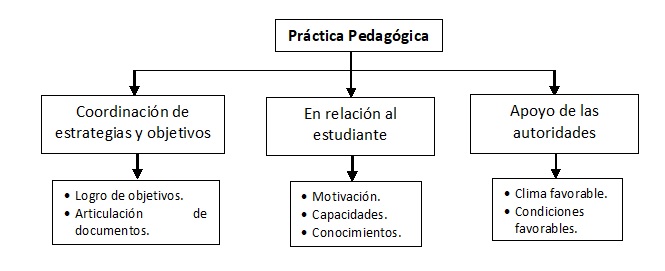 Codificación de la Categoría Práctica
Pedagógica